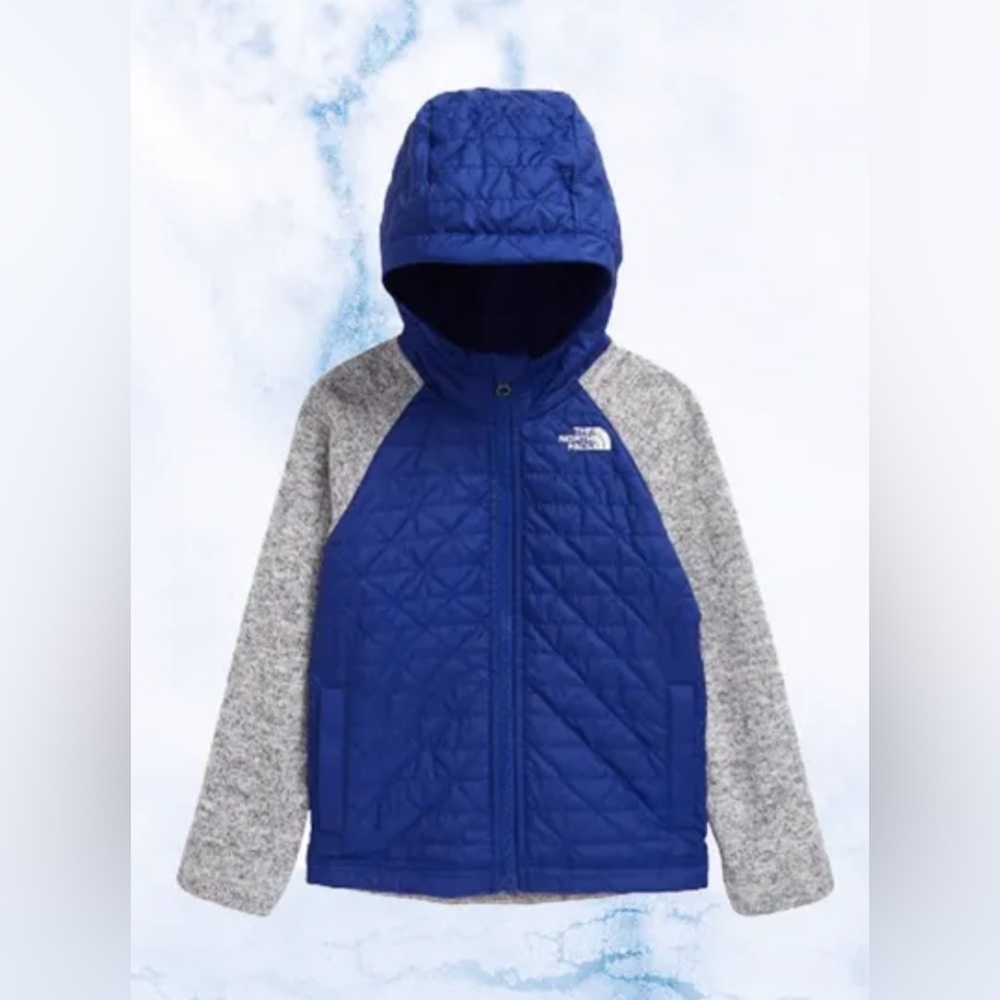 The North Face Royal Blue and Charcoal Jacket